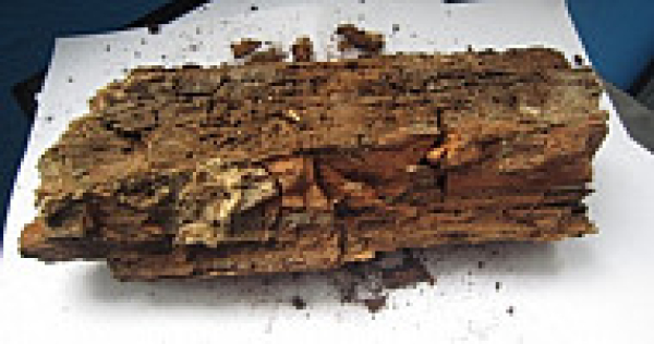 Defectos en la madera